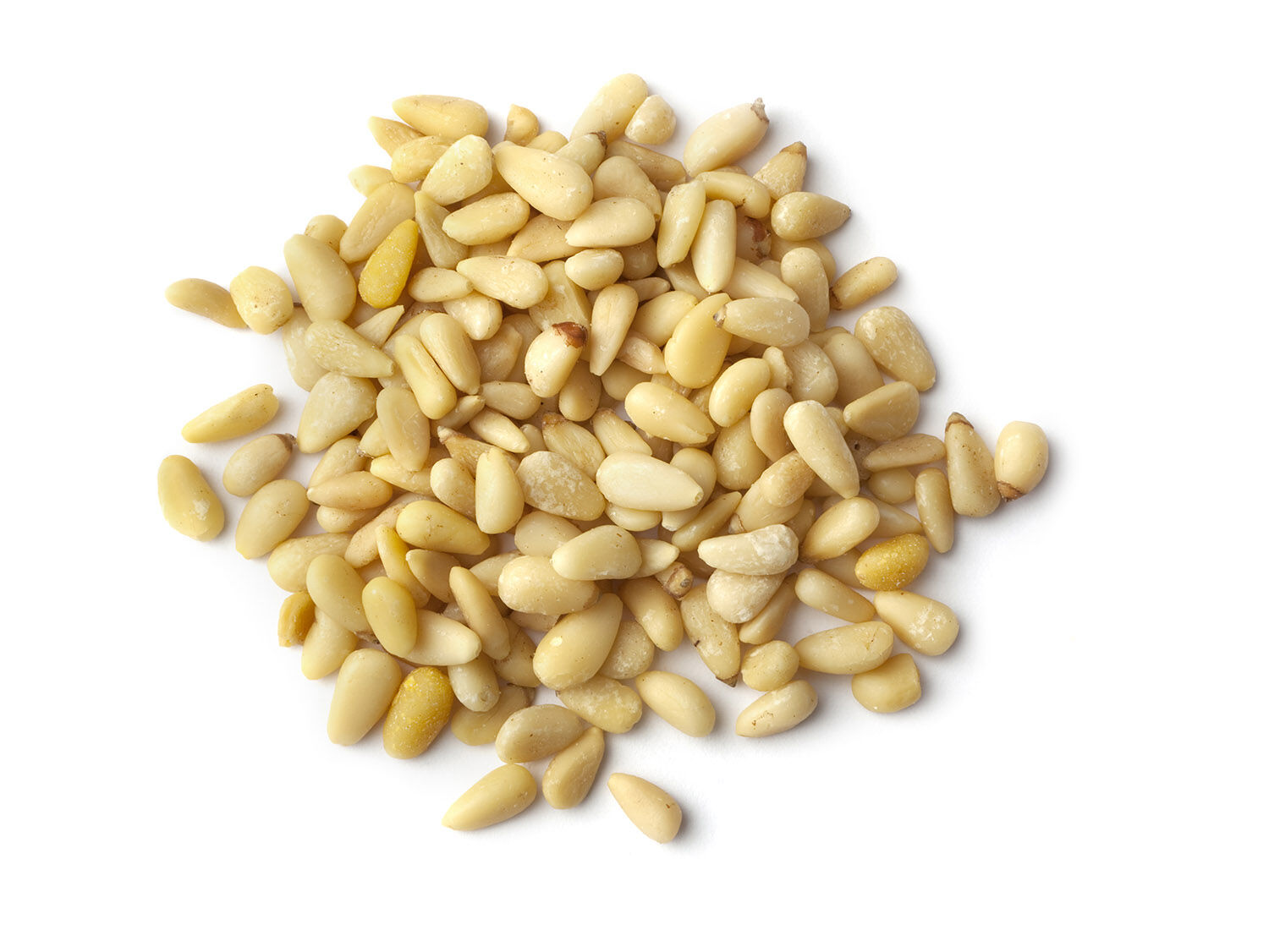 Pine Nuts